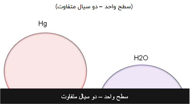 ترشوندگی