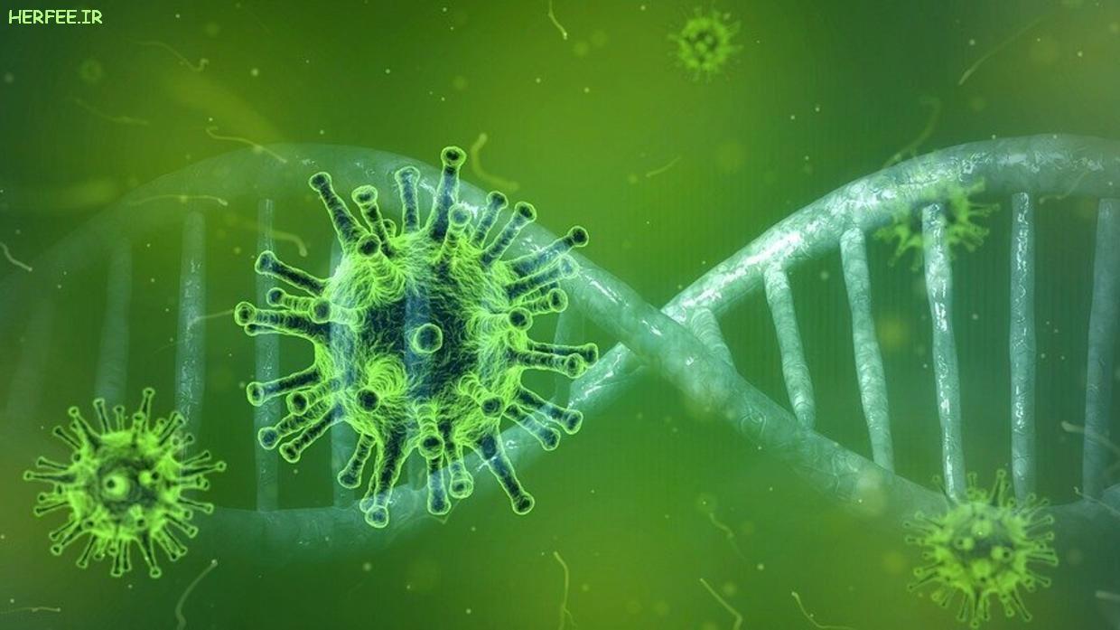راهنمای قرنطینه: اگر به ویروس کرونا آلوده شدیم، چه کنیم؟