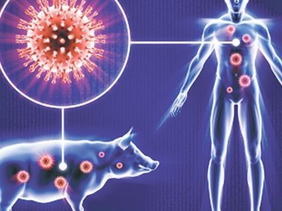 آیا آنفولانزای خوکی دنیاگیری بعدی خواهد بود؟