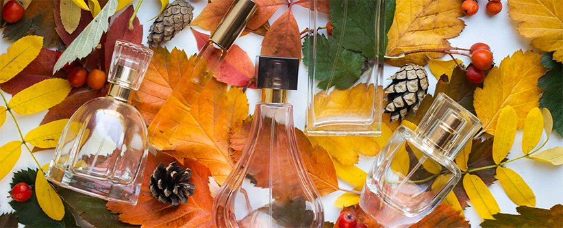 ۴ قانون برای خرید عطر و ادکلن مناسب پاییز و زمستان